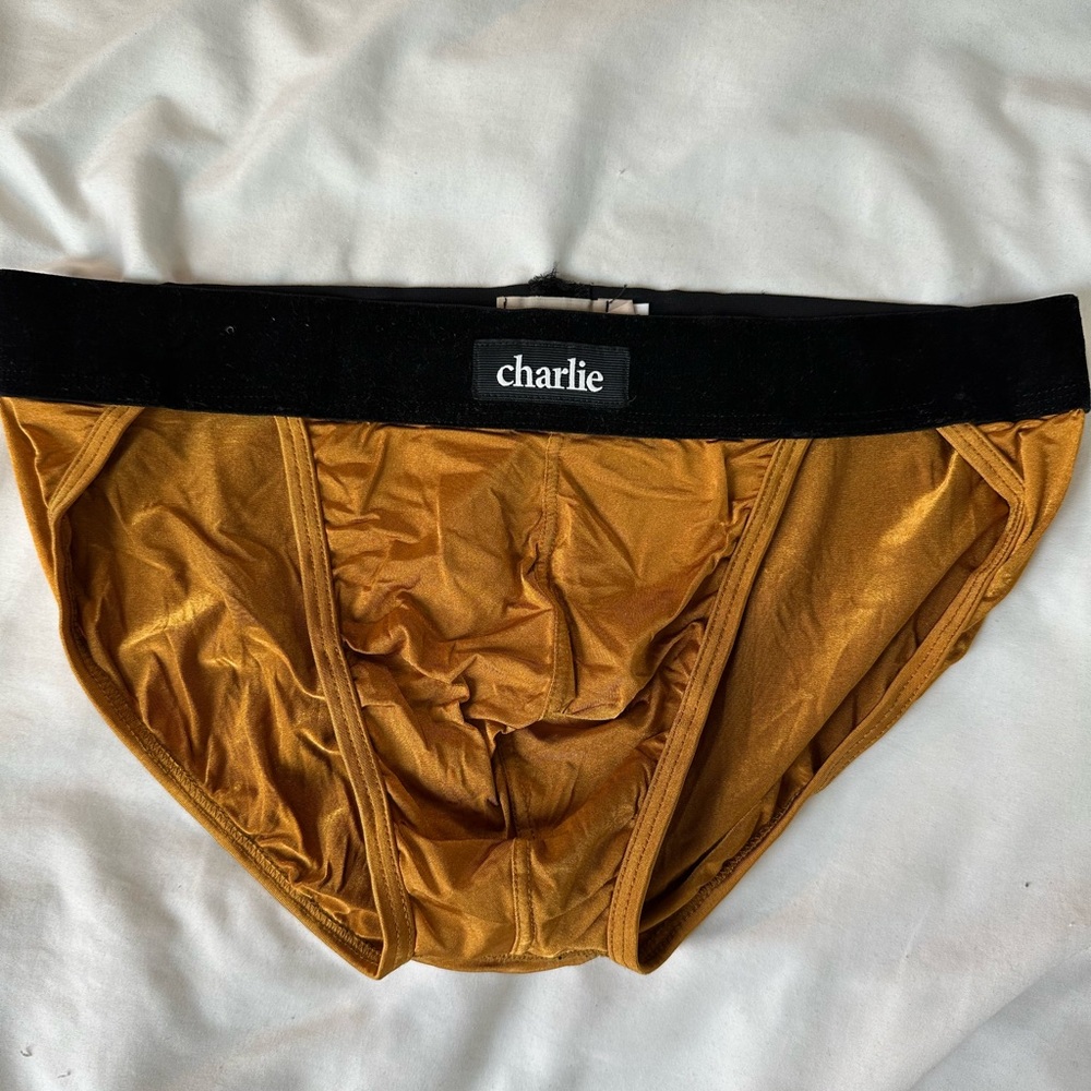 Charlie Copper and Black Briefs Underwear